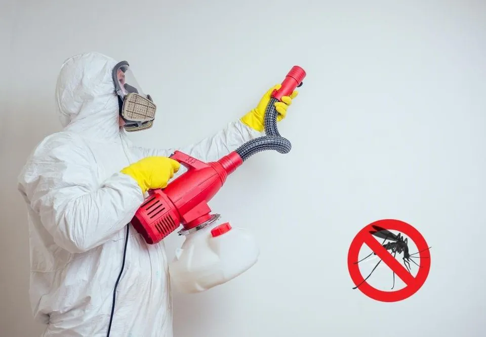 Anti Mosquito Paint