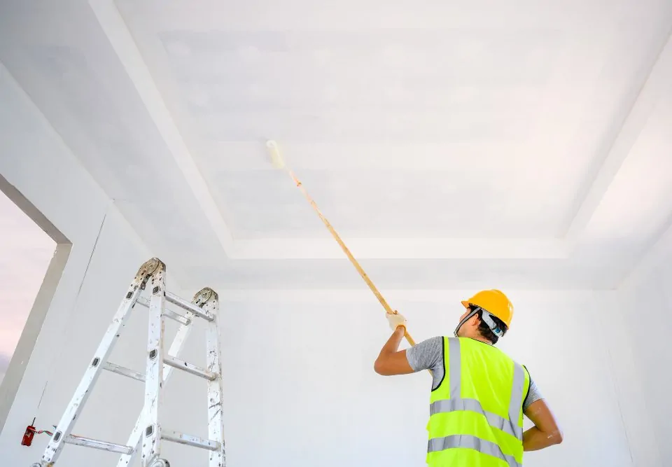 Ceiling Paints from Turkey